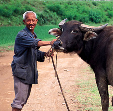 小型飼料顆粒機,農(nóng)民圓夢！